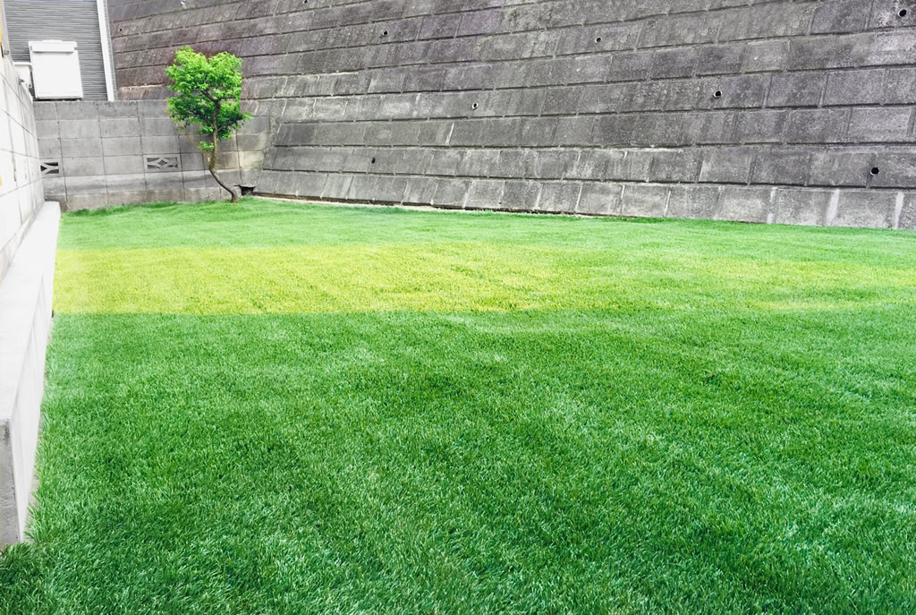 garden_02